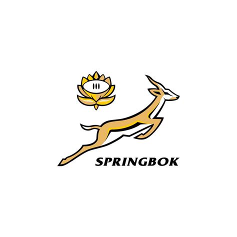 springbok clipart|Springbok Vector Images (over 270) .